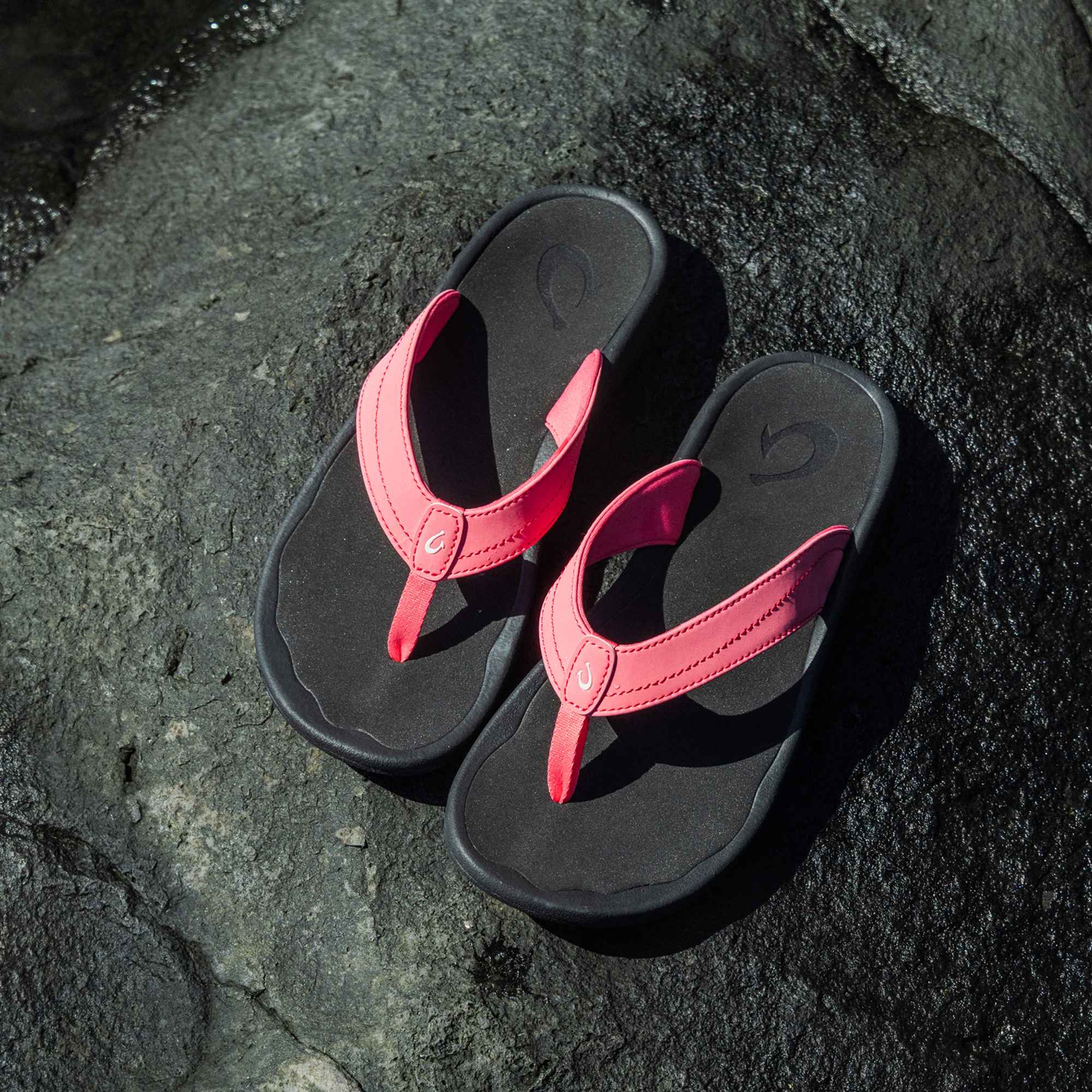 Alternative view of Ohana - Hot Pink / Black