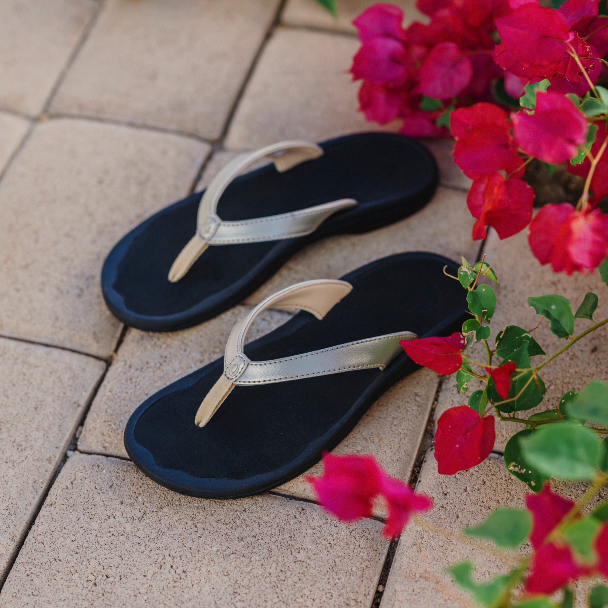 ʻOhana Lahi - Gold / Black - Image 6